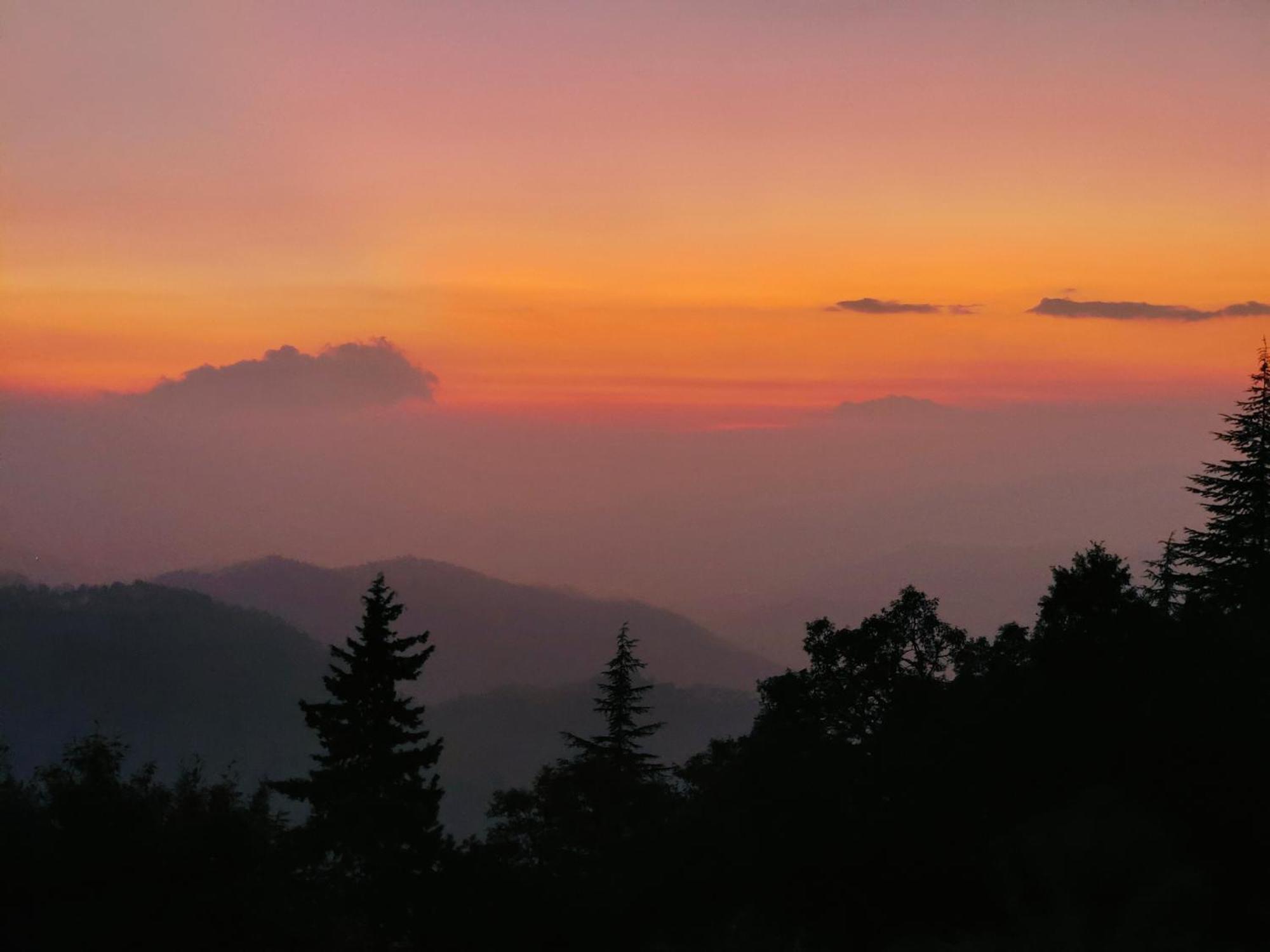 Simba Jungle Lodge, Binsar Wildlife Sanctuary Exterior foto